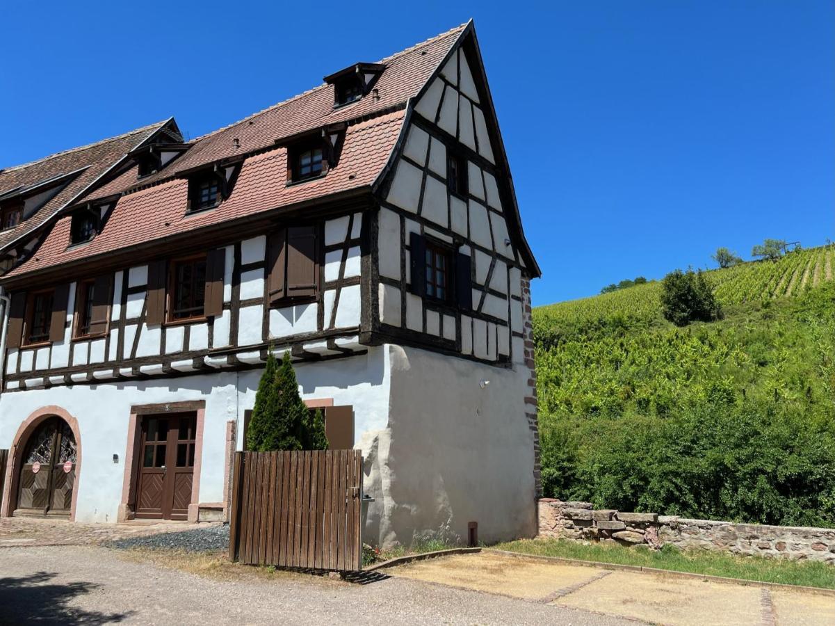 Domaine La Cour Des Nobles - Demeure, Maison Et Appartements Au Coeur De 利克维 外观 照片
