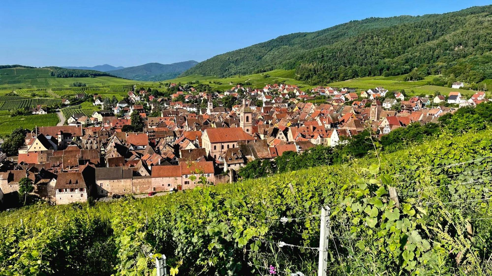 Domaine La Cour Des Nobles - Demeure, Maison Et Appartements Au Coeur De 利克维 外观 照片