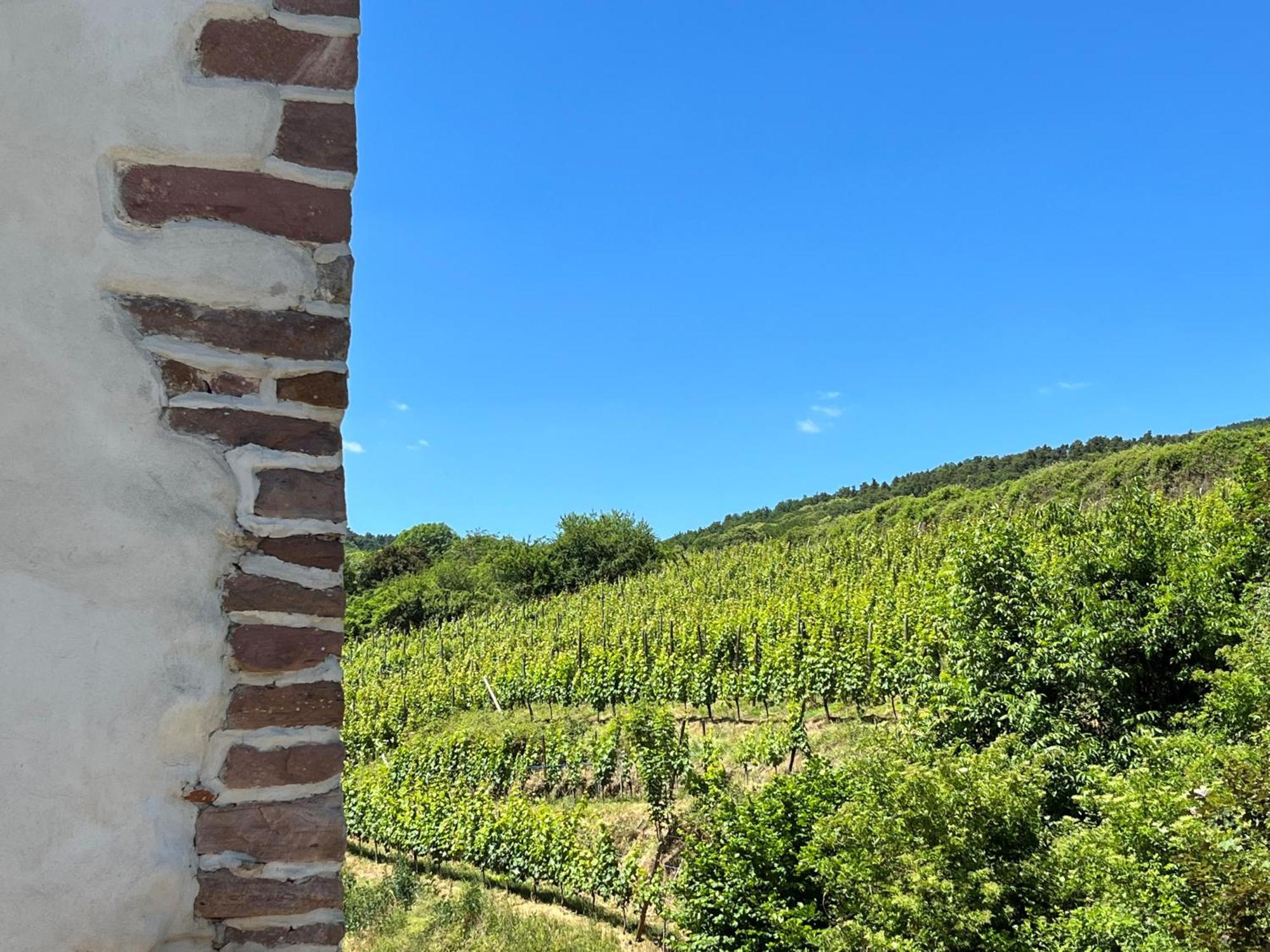 Domaine La Cour Des Nobles - Demeure, Maison Et Appartements Au Coeur De 利克维 外观 照片