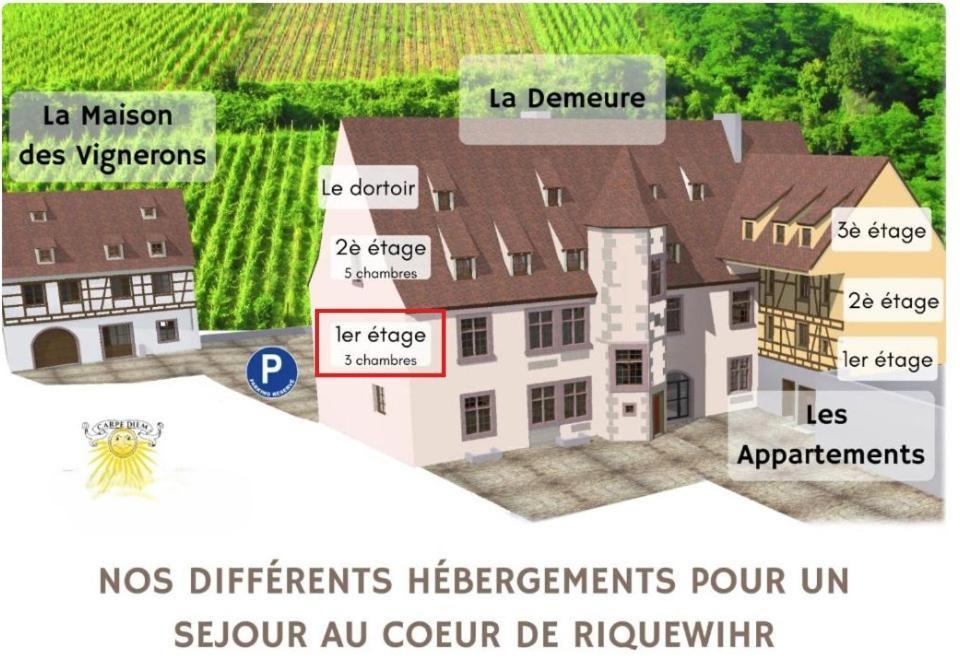 Domaine La Cour Des Nobles - Demeure, Maison Et Appartements Au Coeur De 利克维 客房 照片